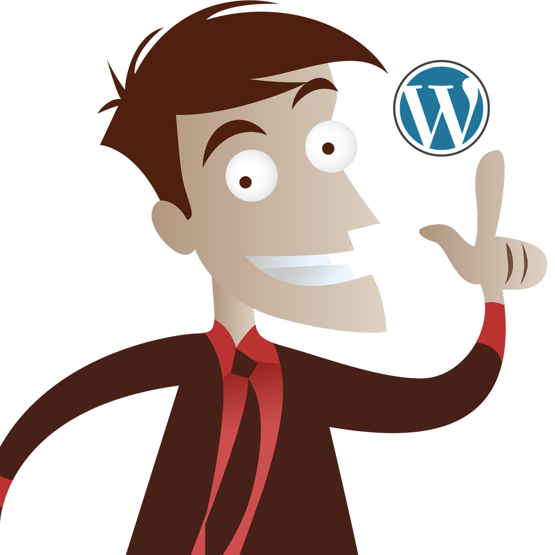 WORDPRESS USE FOR WEB DEVELOPERS A DETAILED OVERVIEW